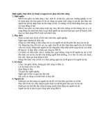 Định nghĩa, Mục đích, kỹ thuật và nguyên tắc phục hồi chức năng