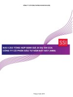 BÁO CÁO TỔNG HỢP ĐỊNH GIÁ 24 DỰ ÁN CỦA CÔNG TY CỔ PHẦN ĐẦU TƯ NĂM BẢY BẢY (NBB)