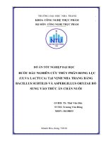 Bước đầu nghiên cứu thủy phân rong lục (ulva lactuca) tại vịnh nha trang bằng bacillus subtilis và aspergillus oryzae bổ sung vào thức ăn chăn nuôi 