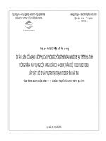 HỒ sơ THIẾT kế xây DỰNG MẠNG lưới KIÊN cố PHÒNG CHỐNG THIÊN TAI 