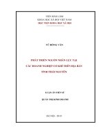 Phát triển nguồn nhân lực tại các doanh nghiệp cơ khí trên địa bàn tỉnh thái nguyên 