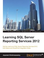Learning SQL server reporting services 2012 