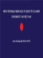 Phân tích hoạt động đầu tư quốc tế của công ty P&G