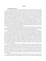 Nợ công bền vững kinh nghiệm quốc tế và một số gợi ý đối với việt nam 