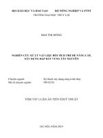 Nghiên cứu xử lý vật liệu bồi tích trẻ để nâng cấp, xây dựng đập đất vùng tây nguyên tt