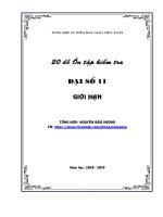 20 đề ôn tập kiểm tra đại số và giải tích 11