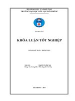 Hoàn thiện công tác kế toán doanh thu, chi phí và xác định kết quả kinh doanh tại công ty HNHH phát triển và dịch vụ du lịch hướng dương   