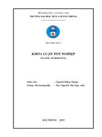 Giải pháp marketing nhằm nâng cao hiệu quả phân phối sản phẩm của công ty cổ phần đầu tư thương mại vĩnh thịnh   