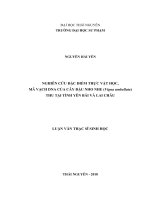 Nghiên cứu đặc điểm thực vật học, mã vạch DNA của cây đậu nho nhe ((vigna umbellata) thu tại tỉnh yên bái và lai châu 