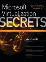 Microsoft virtualization secrets 