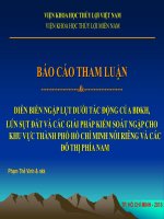 DIỄN BIẾN NGẬP LỤT DƯỚI TÁC ĐỘNG CỦA BĐKH, LÚN SỤT ĐẤT VÀ CÁC GIẢI PHÁP KIỂM SOÁT NGẬP CHO KHU VỰC THÀNH PHỐ HỒ CHÍ MINH NÓI RIÊNG VÀ CÁC ĐÔ THỊ PHÍA NAM
