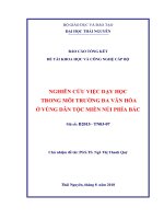 NGHIÊN CỨU VIỆC DẠY HỌC TRONG MÔI TRƢỜNG ĐA VĂN HÓA Ở VÙNG DÂN TỘC MIỀN NÚI PHÍA BẮC