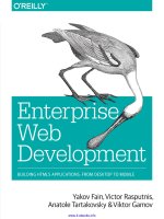Enterprise web development 