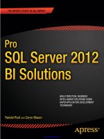 Pro SQL server 2012 BI solutions 