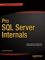 Pro SQL server internals 