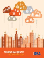 THƯƠNG MẠI ĐIỆN TỬ VIỆT NAM