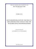 Quyết định hình phạt dưới mức thấp nhất của khung hình phạt được áp dụng từ thực tiễn huyện Bình Chánh, thành phố Hồ Chí Minh (Luận văn thạc sĩ)