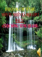 BÀI GIẢNG CHUYÊN ĐỀ:  MÔN TỰ NHIÊN XÃ HỘI LỚP 2  BÀI 21:  «CUỘC SỐNG  XUNG QUANH»