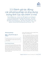 Đánh giá tác động: các phương pháp và ứng dụng trong lĩnh vực tài chính vi mô