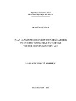 Phân lập gen mã hóa nhân tố phiên mã DREB6 từ cây đậu tương phục vụ thiết kế vector chuyển gen thực vật 