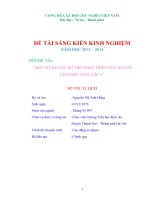 skkn một số bài tập bổ TRỢ PHÁT TRIỂN sức NHANH CHO học SINH lớp 5 