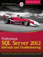 Professional SQL server 2012 internals and troubleshooting 