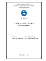 Giải pháp marketing nhằm nâng cao hiệu quả phân phối sản phẩm của Công ty cổ phần đầu tư thương mại Vĩnh Thịnh (Khóa luận tốt nghiệp)