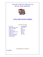 skkn một số biện pháp nâng cao chất lượng hoạt động thư viện ở trường tiểu học 