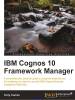 IBM cognos 10 framework manager 