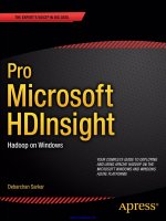 Pro microsoft HDInsight 