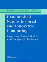 Handbook of nature inspired and innovative computing 