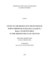 Nghiên cứu tính kháng và cơ chế kháng thuốc của cỏ lồng vực nước (echinochloa crus galli) đối với hoạt chất quinclorac tại đồng bằng sông cửu long 