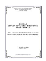 BÁO CÁO CHUYÊN ĐỀ TÁI CHẾ - TÁI SỬ DỤNG  CHẤT THẢI RẮN