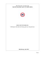 BÁO CÁO TỰ ĐÁNH GIÁ (Để đăng ký kiểm định chất lượng giáo dục trường đại học) TRƯỜNG ĐẠI HỌC QUỐC TẾ MIỀN ĐÔNG
