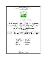 Nghiên cứu ảnh hưởng của chất kích thích ra rễ IBA (indol butyric acid) đến sự hình thành cây hom ngũ gia bì (schefflera octophylla (lour ) harms), tại trường đại học nông lâm thái nguyên 