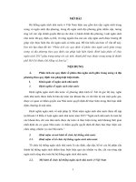 Phân tích các quy định về phân chia ngân sách giữa trung ương và địa phương theo quy định của pháp luật hiện hành. Bình luận phân về chia ngân sách 2017 giữa trung ương với các tỉnh, thành phố trực thuộc trung ương là thành phố Hồ Chí Minh, Đà Nẵng và Sơn