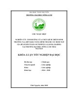 Nghiên cứu ảnh hưởng của chất kích thích sinh trưởng NAA đến khả năng hình thành cây hom ngũ gia bì (schefflera octophylla (lour ) harms) tại trường đại học nông lâm thái nguyên 