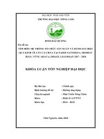 Tìm hiểu hệ thống tổ chức sản xuất và đánh giá hiệu quả kinh tế của cây cà chua tại farm natureza, moshav idan vùng arava, israel thuộc trung tâm liên kết đào tạo phát triển nông nghiệp quốc tế AICAT 