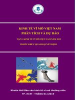 KINH TẾ VĨ MÔ VIỆT NAM PHÂN TÍCH VÀ DỰ BÁO TẬP 2: KINH TẾ VĨ MÔ VIỆT NAM NĂM 2019 TRƯỚC KHÚC QUANH QUYẾT ĐỊNH