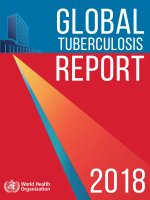 Global tuberculosis report 2018 