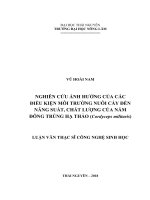 Nghiên cứu ảnh hưởng của các điều kiện môi trường đến năng suất, chất lượng của nấm đông trùng hạ thảo cordyceps militaris 