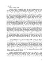 Một số giải pháp ngăn ngừa tình trạng quan hệ tình dục ở một bộ phận học sinh THPT hiện nay, nhằm rèn luyện kỹ năng sống cho học sinh lớp chủ nhiệm 10e7 trường THPT triệu sơn 3