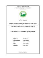Nghiên cứu phòng trừ bệnh loét thân cành cây sưa (dalbergia tonkinensis prain) do nấm fusarium decemcellulare và fusarium lateritium ở giai đoạn vườn ươm 