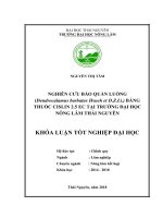 Nghiên cứu bảo quản luồng (dendrocalamus barbatus hsueh et d z li ) bằng thuốc cislin 2 5 EC” tại trường đại học nông lâm thái nguyên 