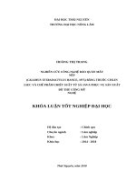 Nghiên cứu công nghệ bảo quản mây nếp (calamus tetradactylus hance, 1975) bằng thuốc cislin 2 5EC và chế phẩm chiết suất từ sả java phục vụ sản xuất đồ thủ công mỹ nghệ 