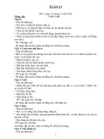 Giáo án lớp 1 theo tuần năm học 2018 2019 mới nhất tuần 13 