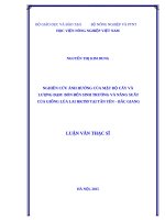 Nghiên cứu ảnh hưởng của mật độ cấy và lượng đạm bón đến sinh trưởng và năng suất của giống lúa lai HKT99 tại tân yên   bắc giang 