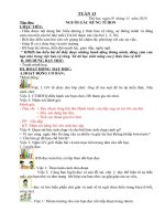 Giáo án lớp 5 theo tuần năm học 2018 2019 mới nhất tuần 13 (1) 