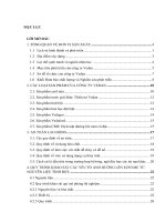 Báo cáo thực tập tốt nghiệp Công ty Vedan Việt Nam