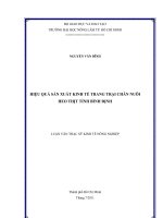   HIỆU QUẢ SẢN XUẤT KINH TẾ TRANG TRẠI CHĂN NUÔI  HEO THỊT TỈNH BÌNH ĐỊNH   
